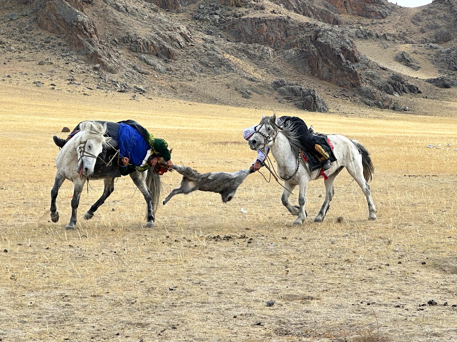 Tug of war - Kokpar game