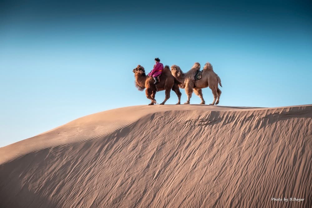Gobi Desert Camel Trek — 5 Days
