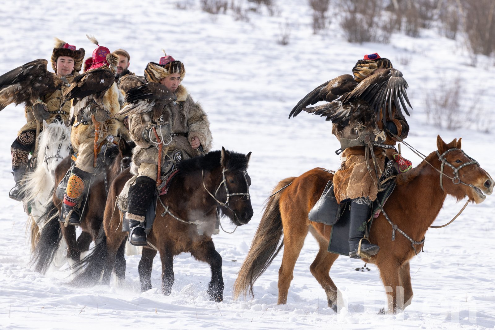 Eagle hunters at the Spring Eagle Festival