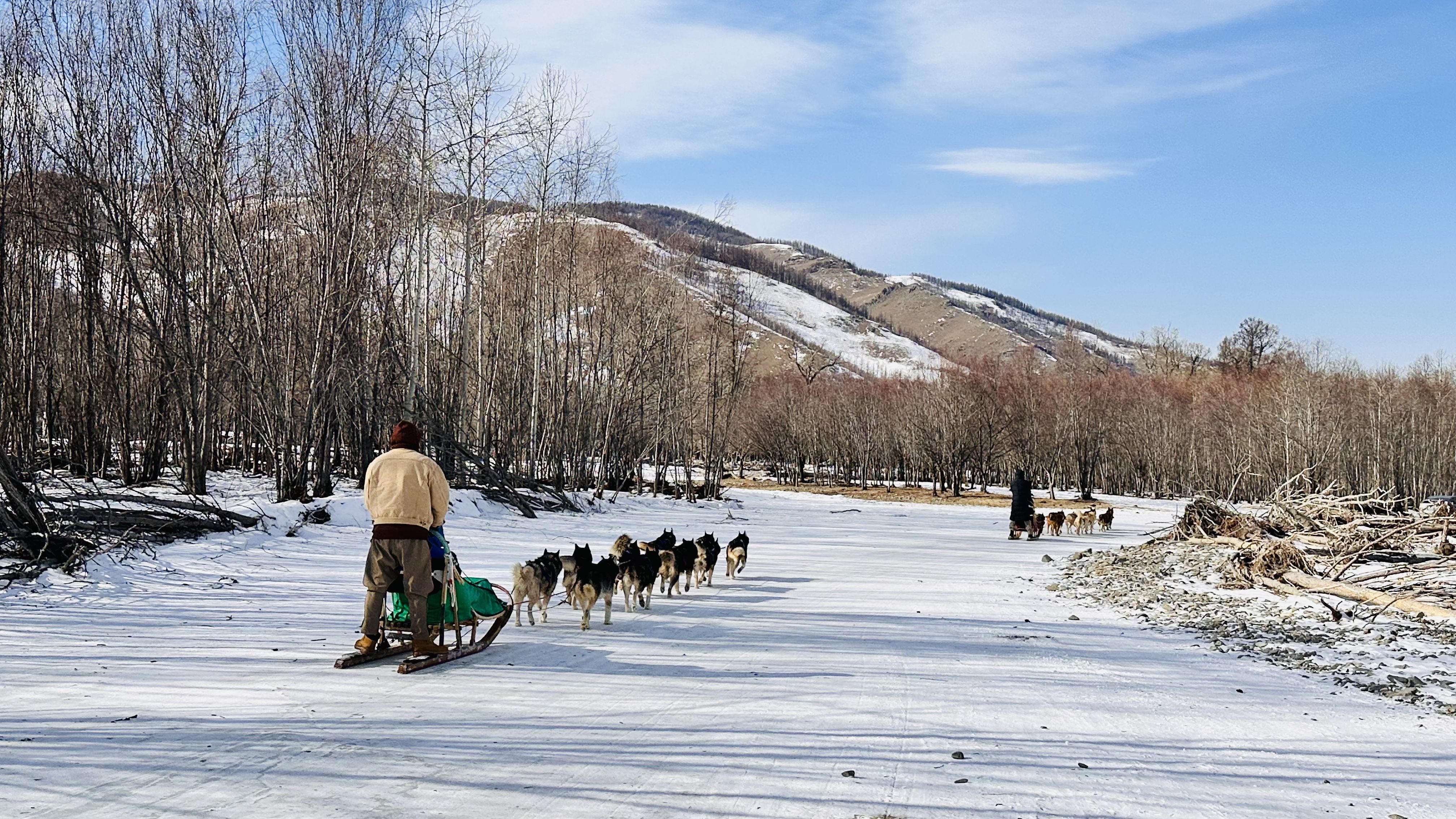 Dog sleding at Terelj national park.