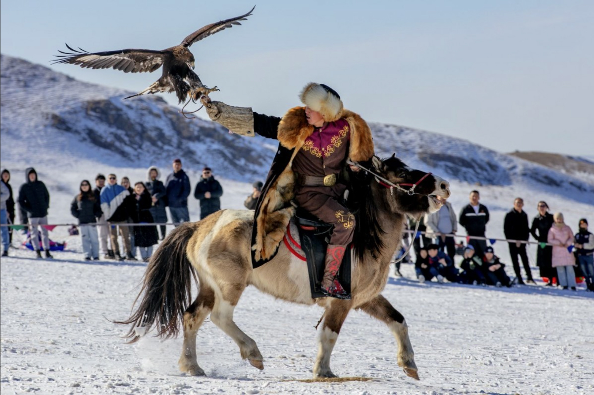 Young eagle hunter calling his eagle at the Spring Eagle Festival