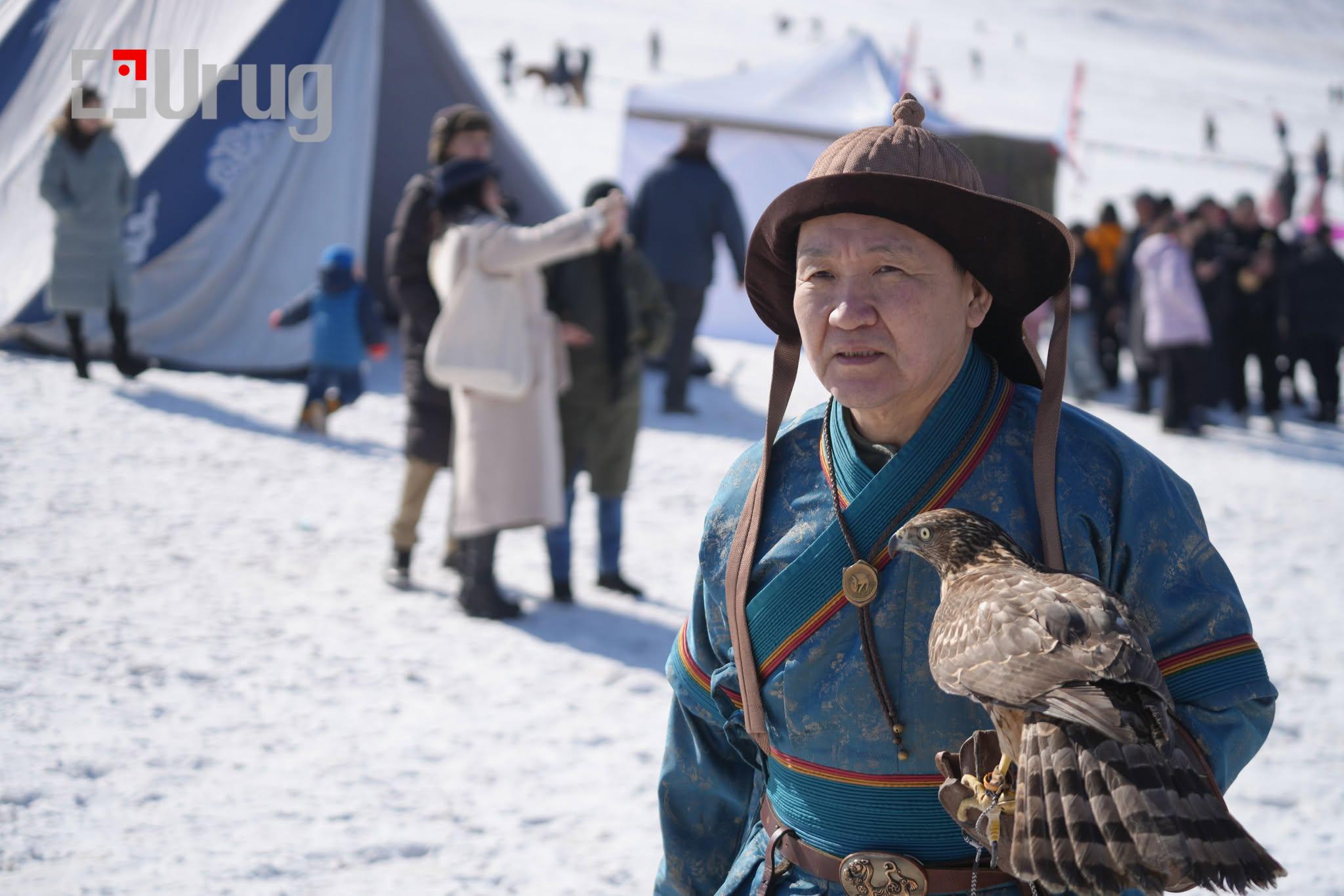Falconry at the Spring Eagle Festival