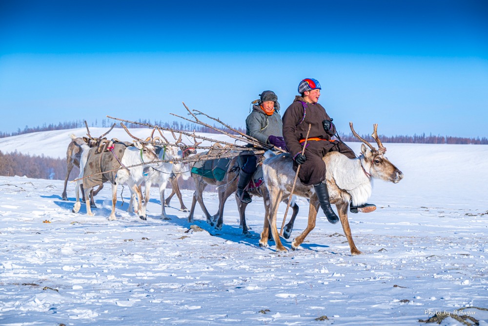 Reindeer people riding deers