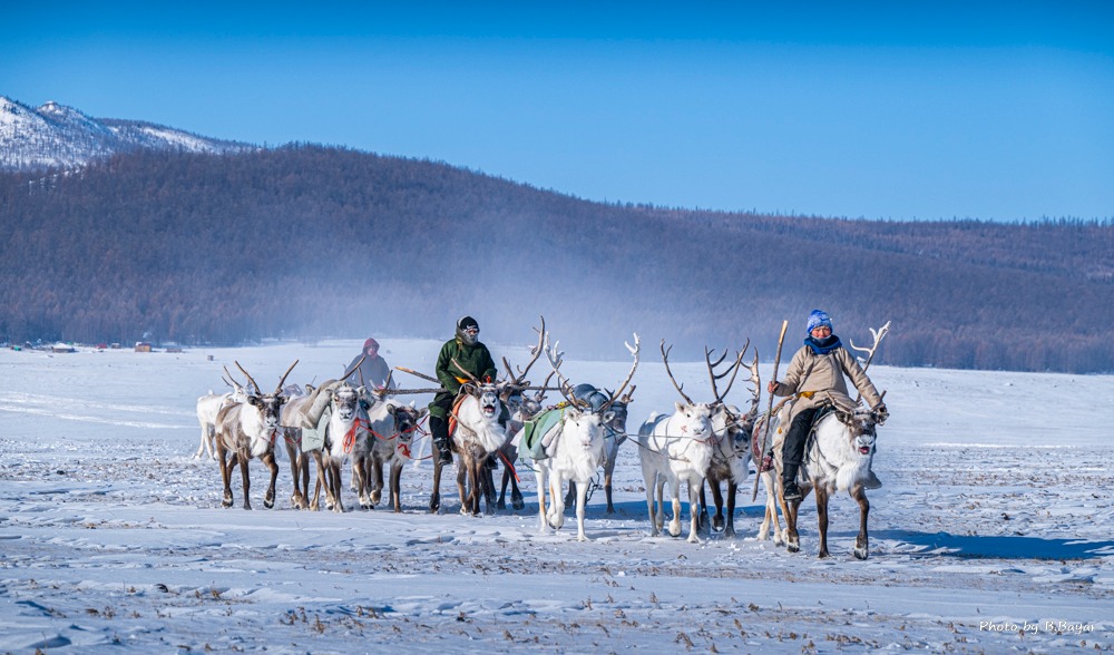 Reindeer people riding deers