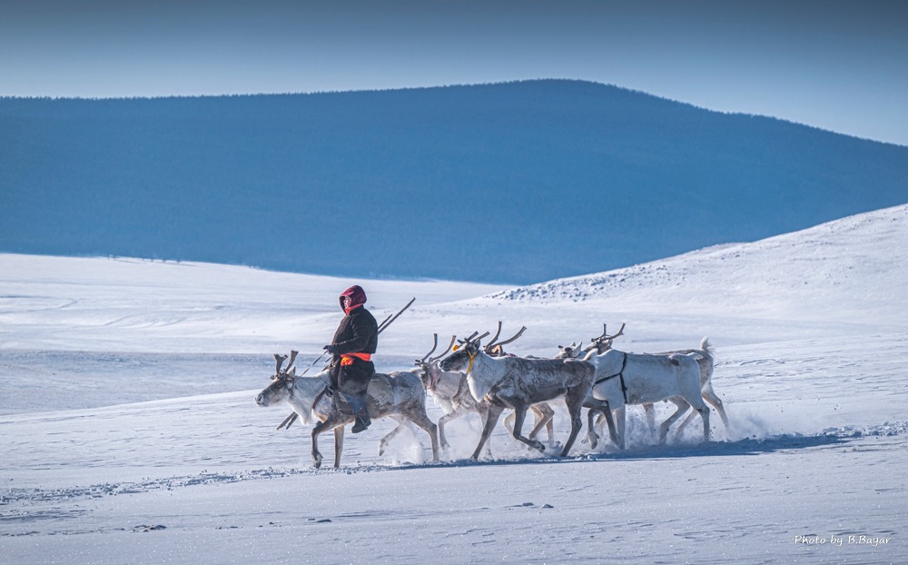 Reindeer people riding deers