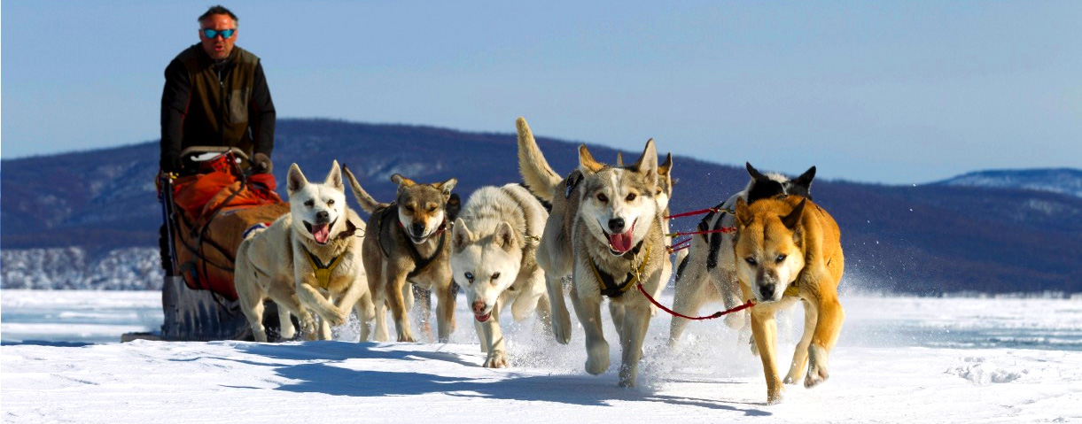 CHINGGIS KHAN EQUESTRIAN COMPLEX and DOG SLED