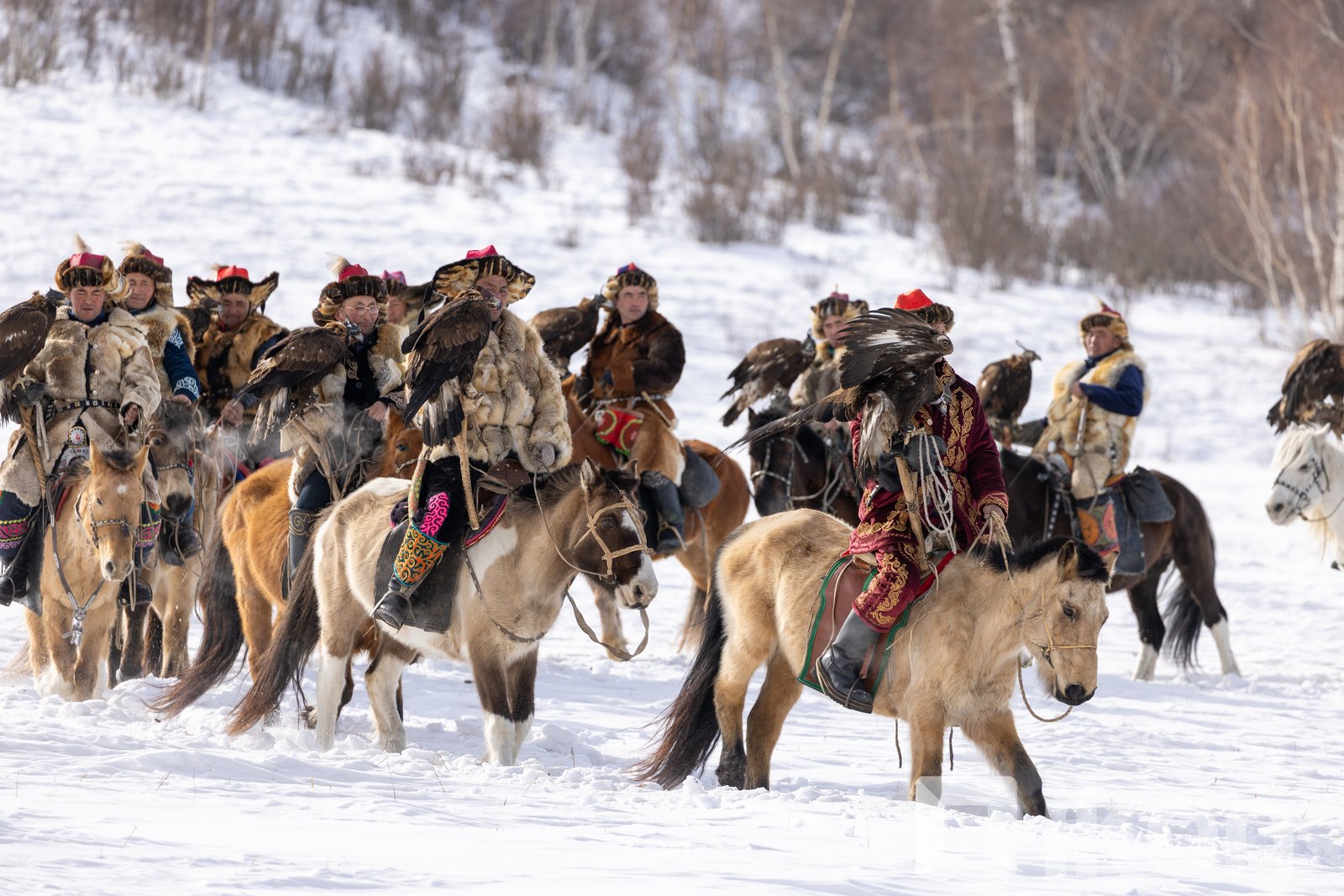 Eagle hunters taking part in the Spring Eagle Festival near Ulaanbaatar in March