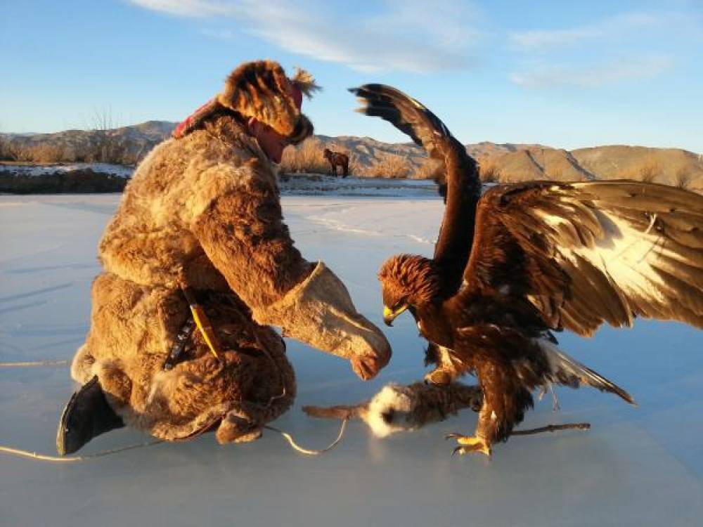 Eagle catching its prey