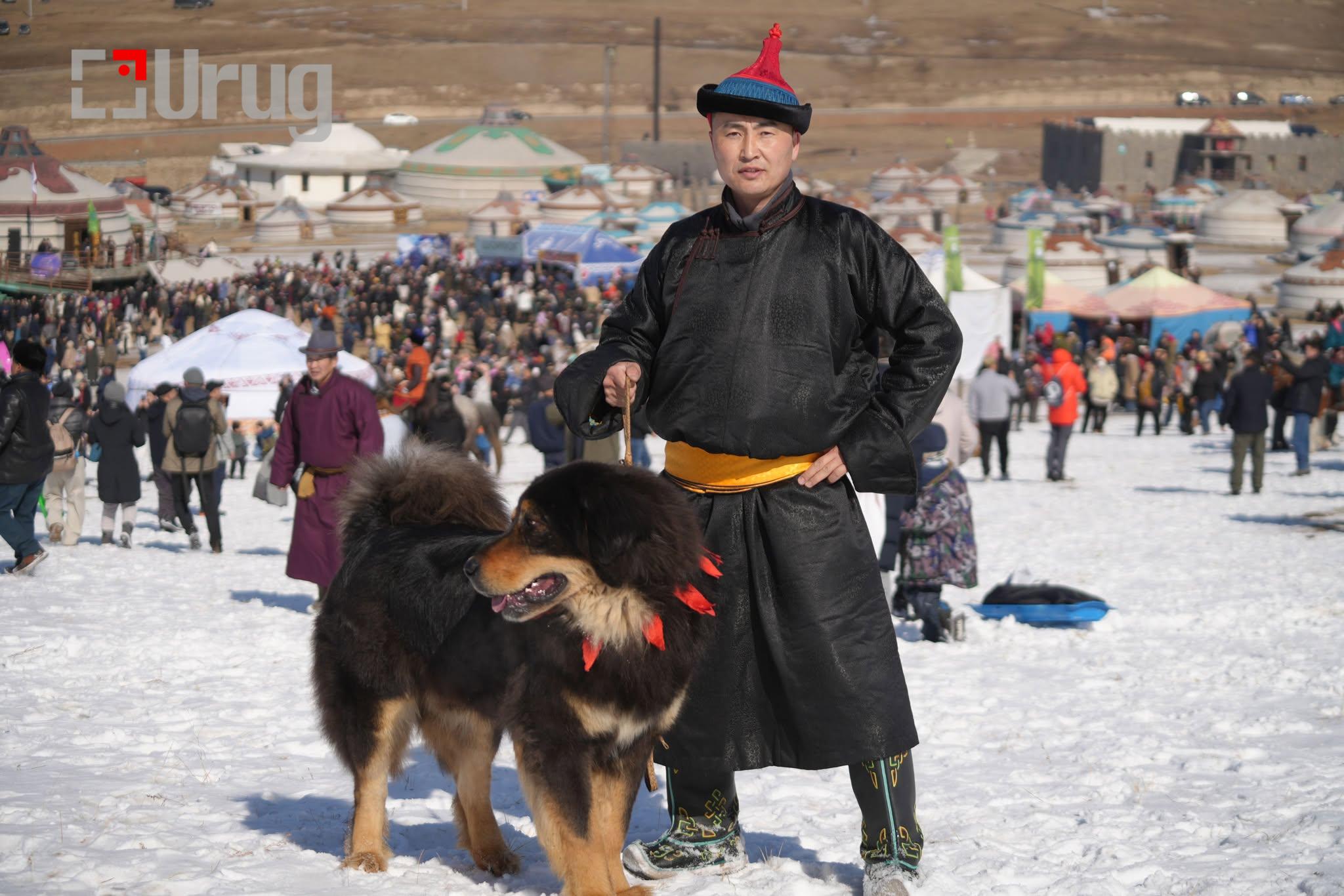 Mongolian dog and its owner at the Spring Eagle Festival