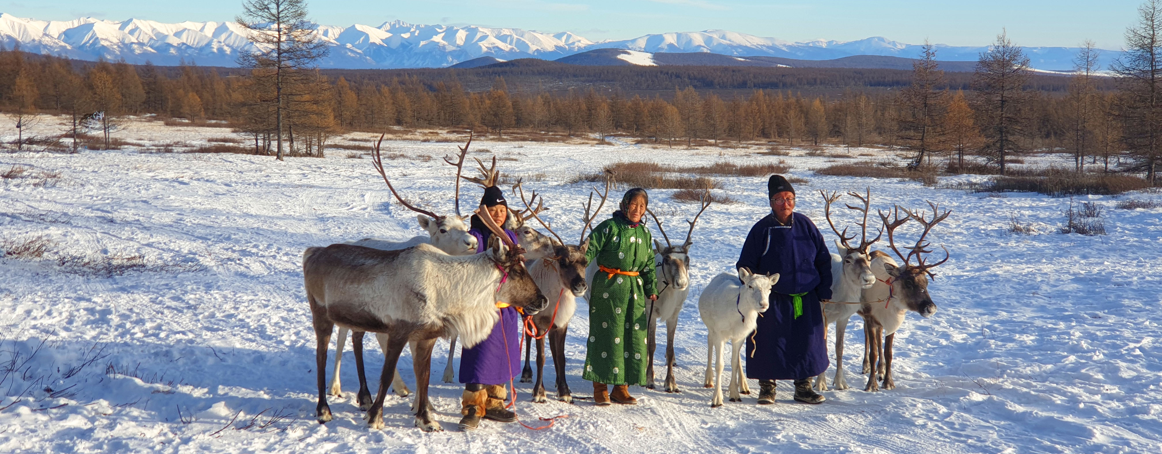 VISIT REINDEER PEOPLE