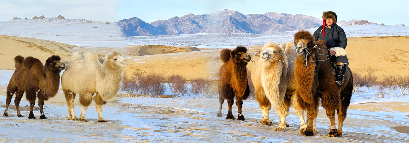 Driving Journey to Ancient Capital Karakorum