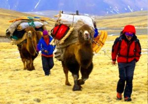 Trekking in Altai Tavan Bogd