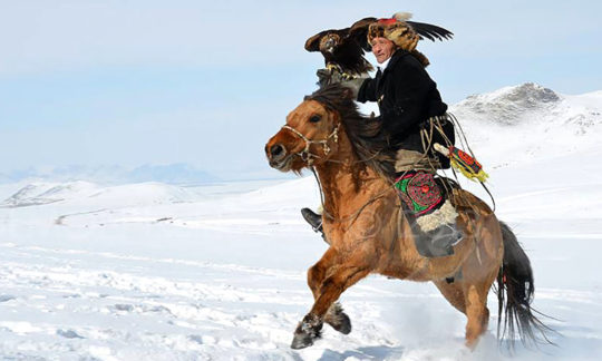 Eagle hunter at Eagle festival