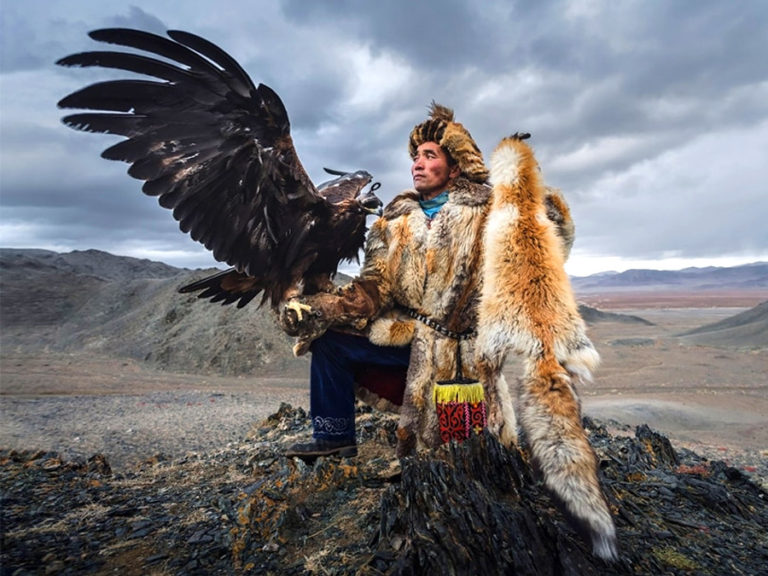 eagle hunters hunting fox mongolia