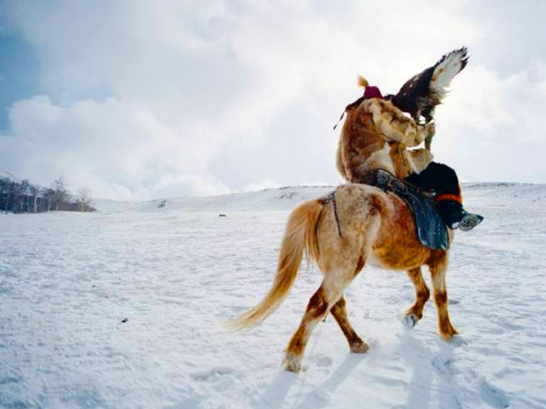 horse trekking true life eagle hunting mongolia
