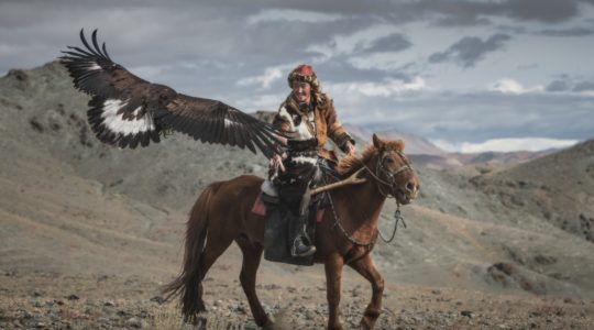 golden eagle hunter