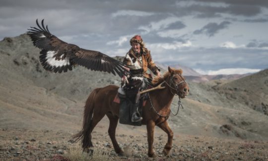 golden eagle hunter