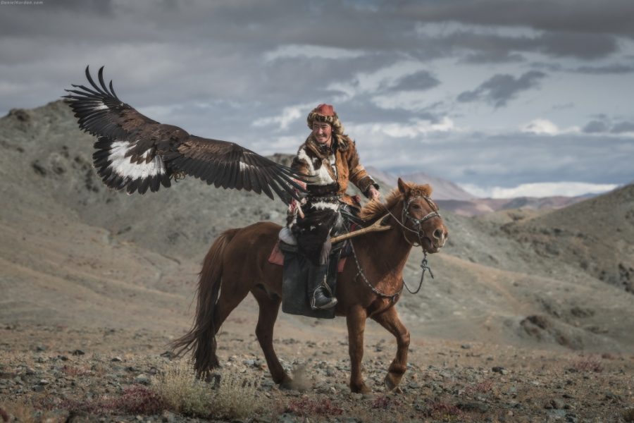 golden eagle hunter