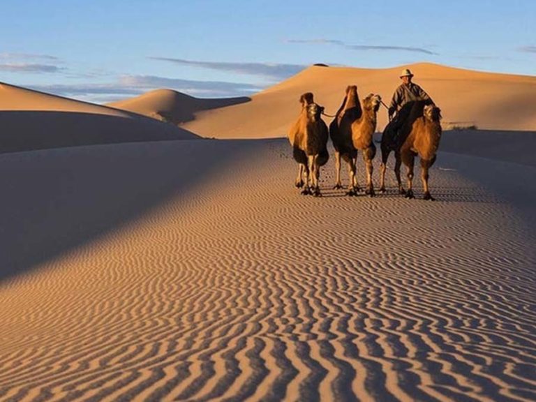 mongolian gobi