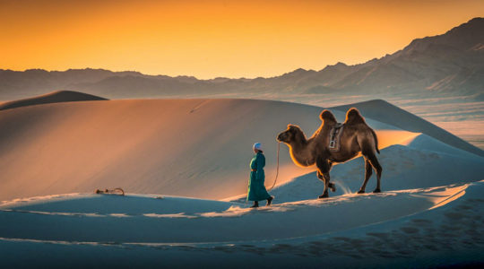 Gobi tour mongolia