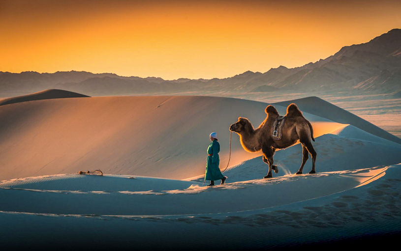 Gobi tour mongolia