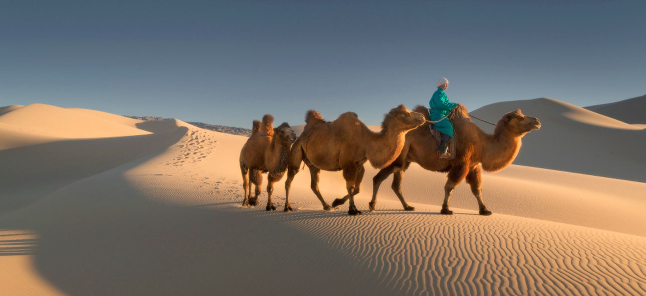 khongor sand dunes mongolian gobi by kazakhtour 2