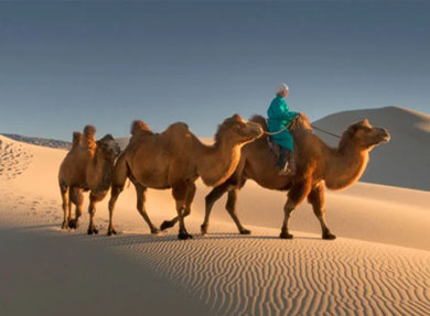 mongolian gobi deser tour by kazakhtour