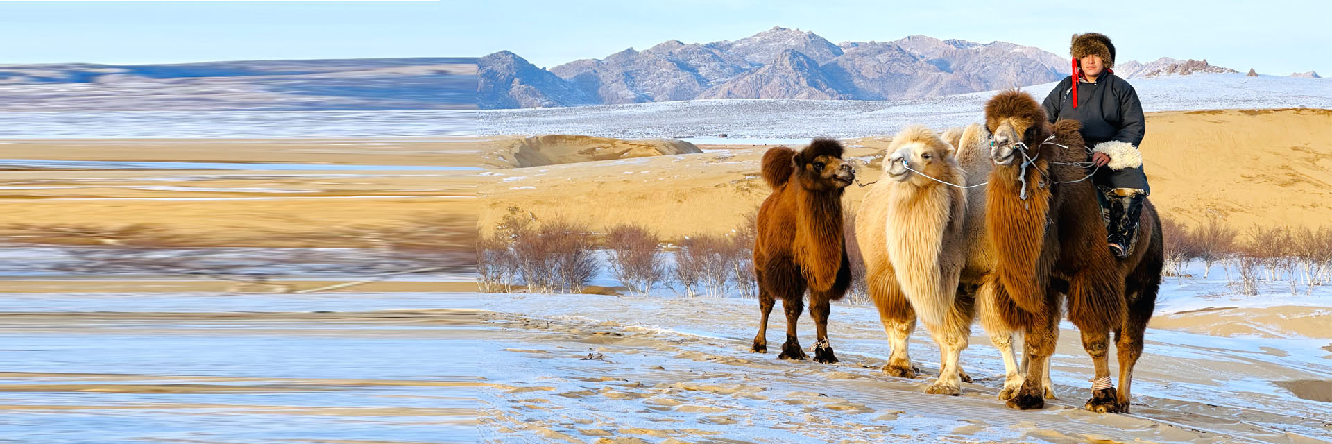 mongolian gobi desert tour with kazakhtours