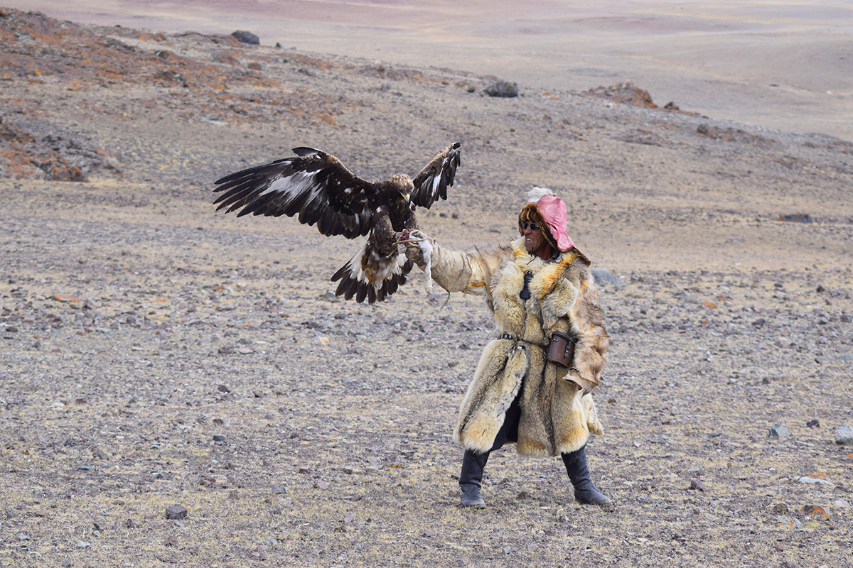Eagle hunter - Ardak.