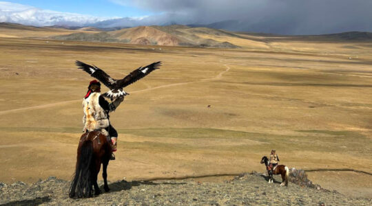 eagle hunters mongolia