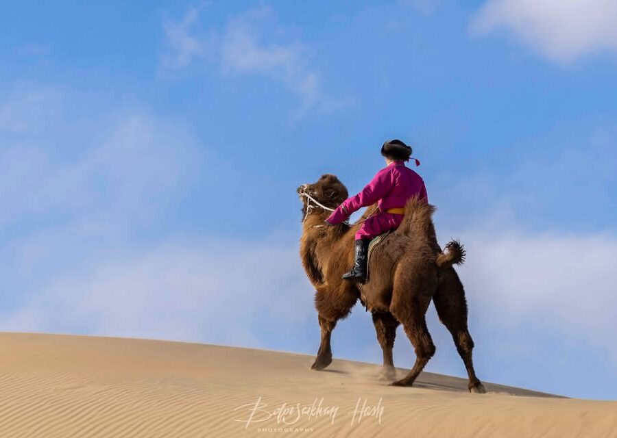 Mongolian herder in Gobi desert riding Bactrian camel. 