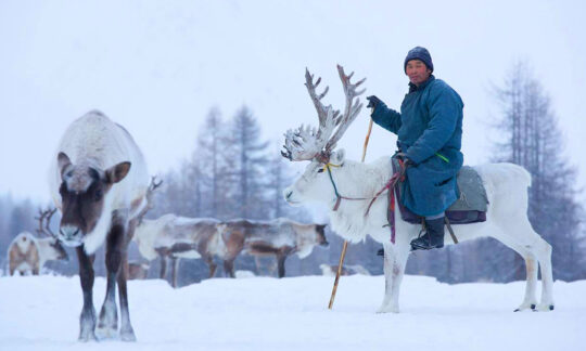best time to travel mongolia weather mongolia