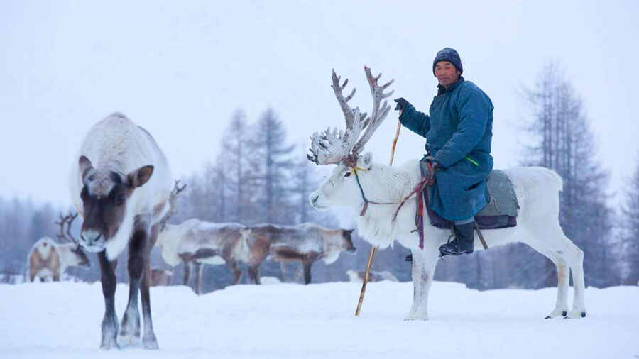 best time to travel mongolia weather mongolia
