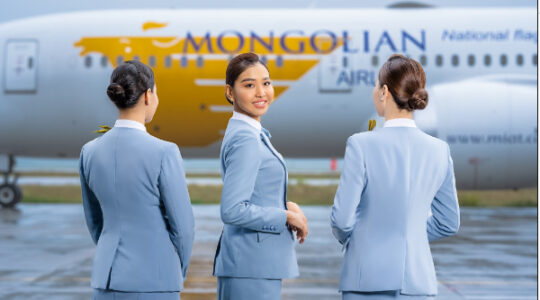 Miat airlines domestic flight