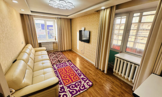 Cozy rental apartment in Ulgii