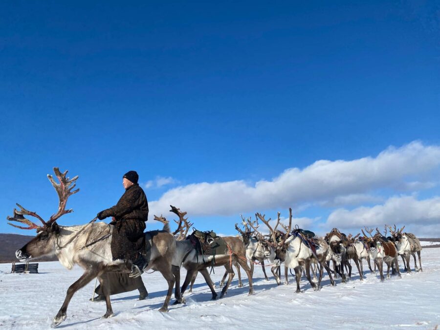 Reindeer people tour mongolia