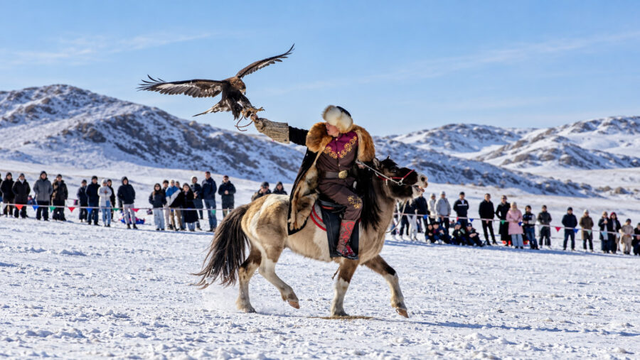 eagle hunter calling his eagle - spring eagle festival